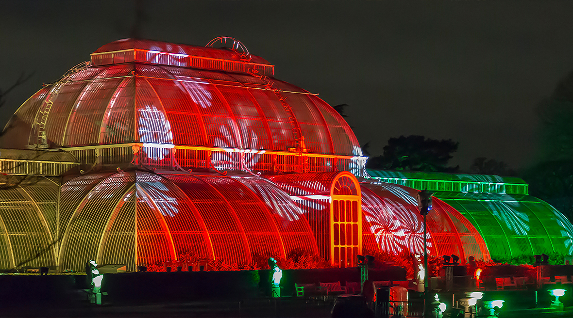 Les jardins botaniques de Kew brillent de mille feux en décembre